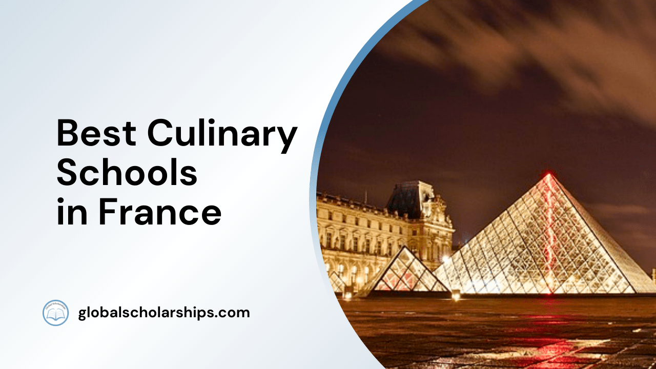 5 Best Culinary Schools in France Global Scholarships