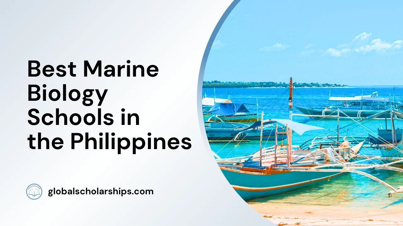 5 Best Marine Biology Schools in the Philippines Global Scholarships
