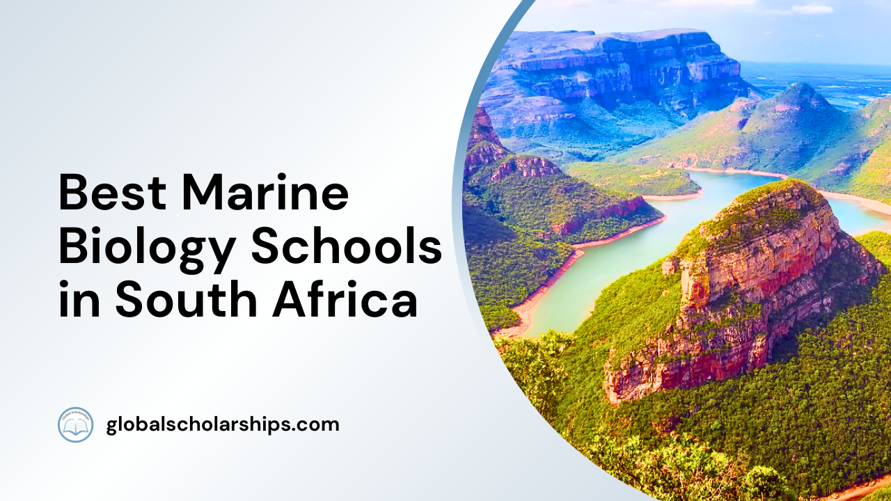 5 Best Marine Biology Schools in South Africa Global Scholarships