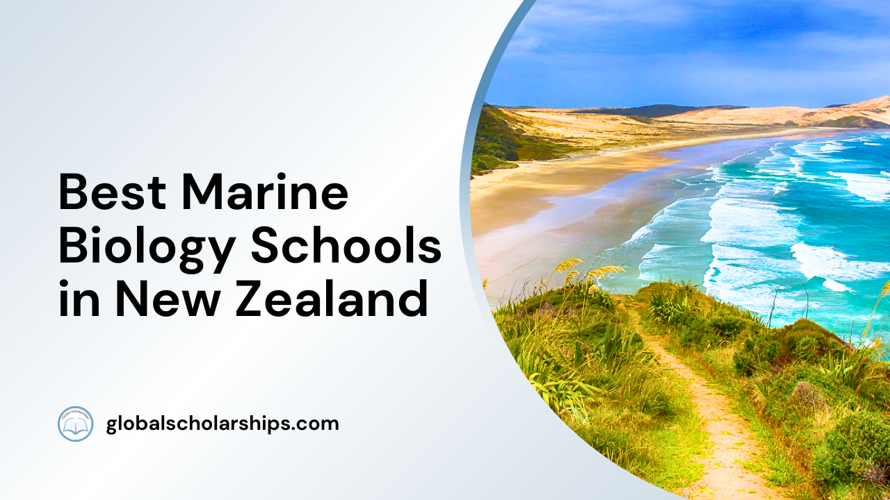 5 Best Marine Biology Schools in New Zealand Global Scholarships