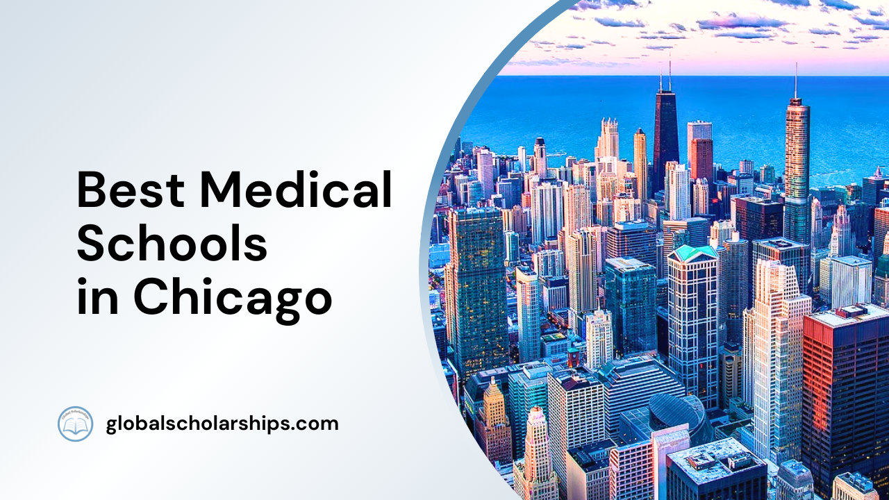 5 Best Medical Schools in Chicago Global Scholarships