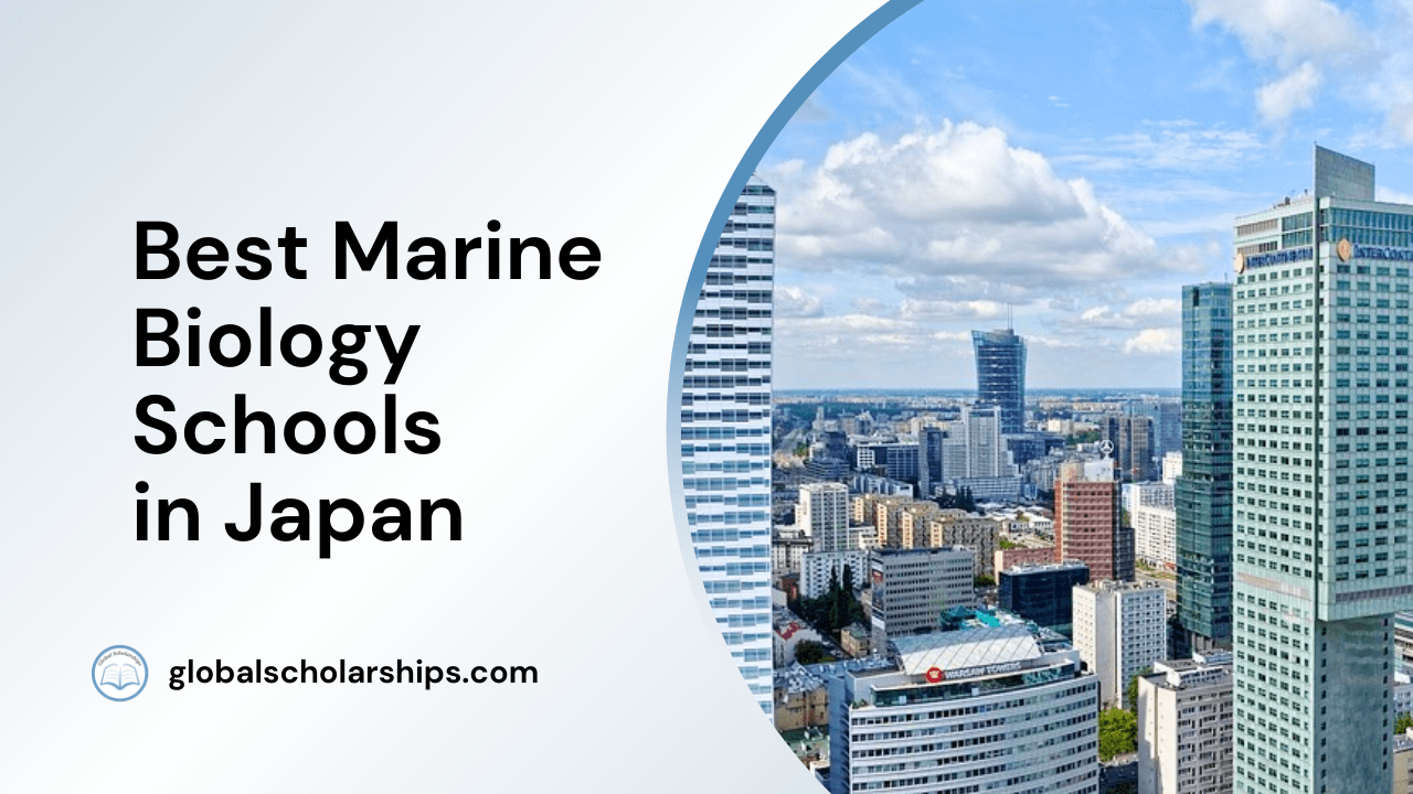 8 Best Marine Biology Schools in Japan Global Scholarships