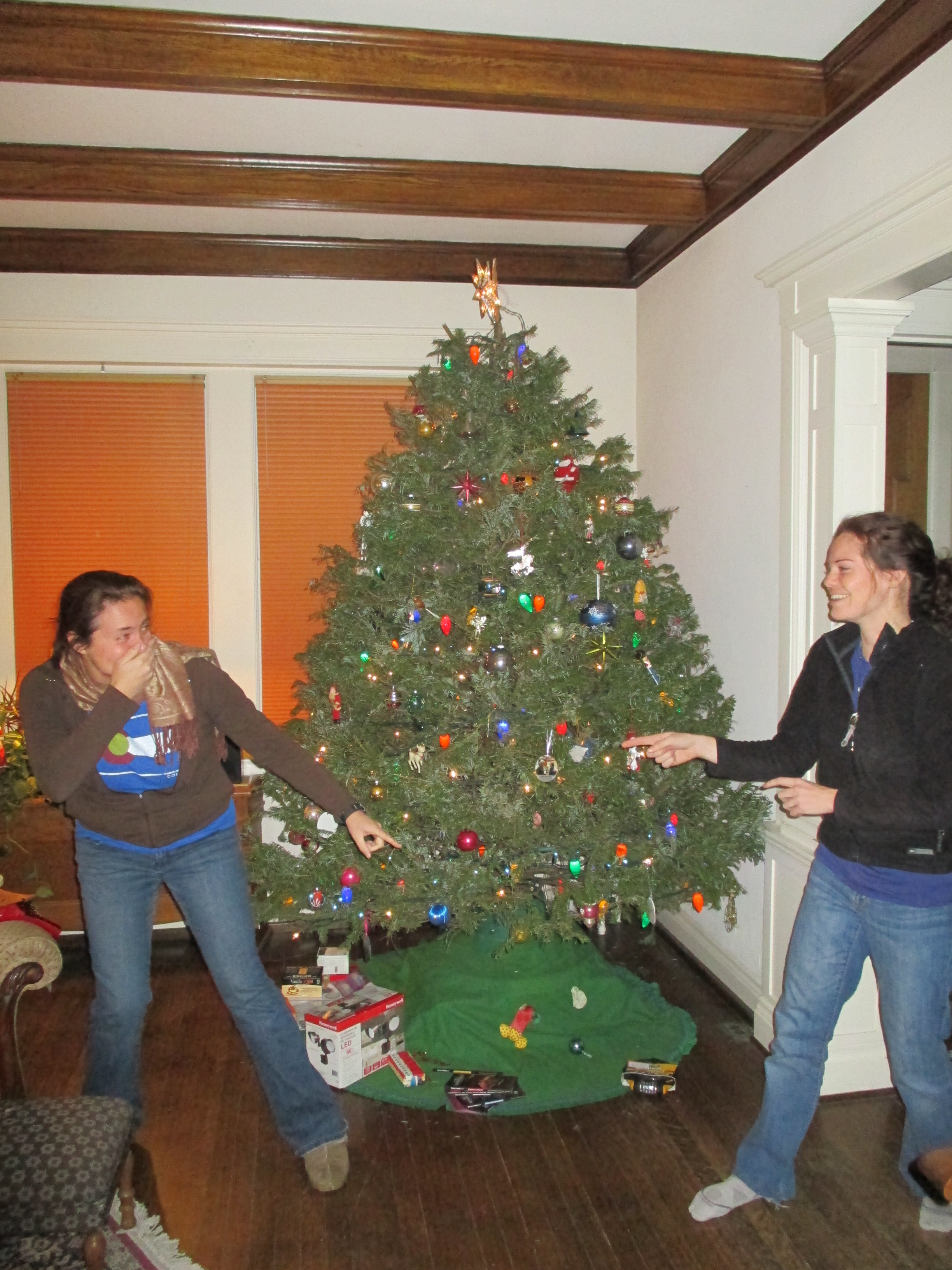 Home for the Holidays in Denver! Globe Gazers