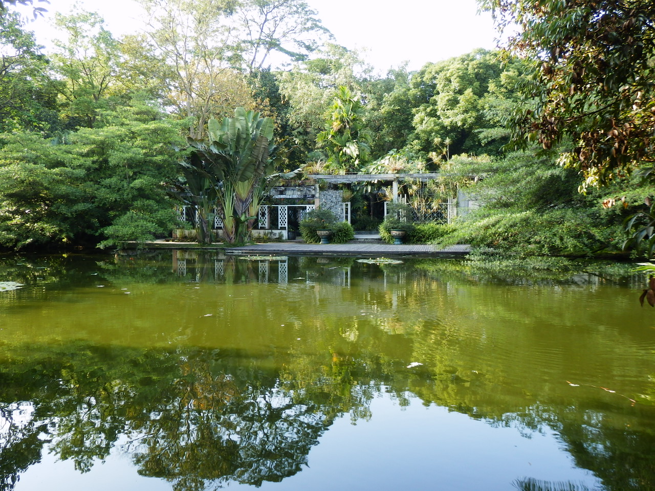 The South China Botanical Garden Global Observations 2
