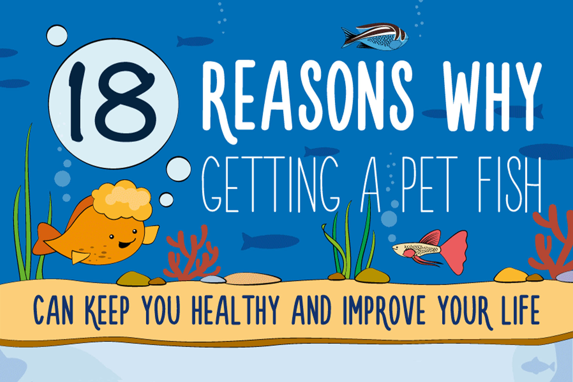 18 Reasons Why Getting a Pet Fish Globemrk Digital Studio