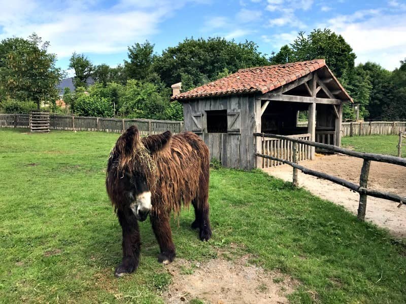 5 things that will surprise you about France's Puy Du Fou