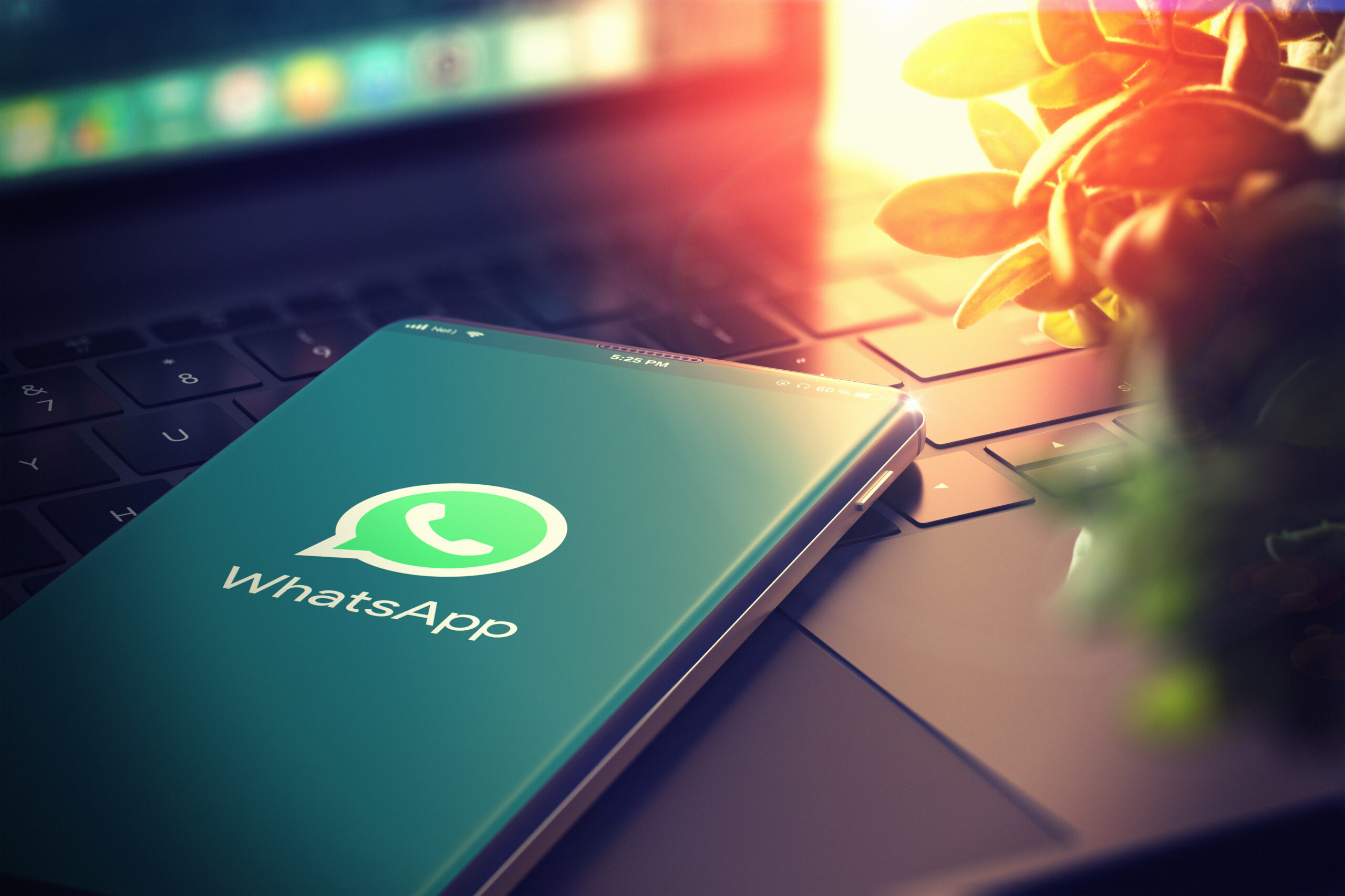 Whatsapp on Smartphone Screen Globetrender