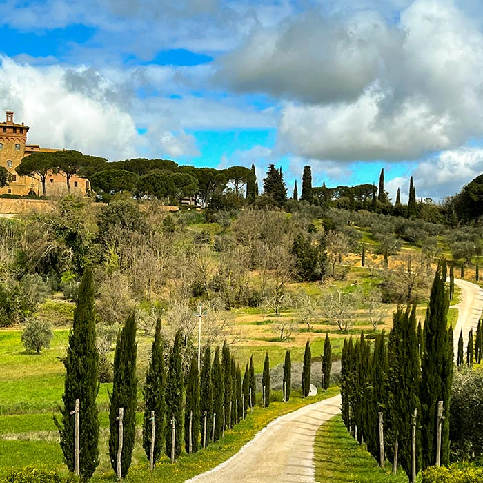 Best Things to Do in Pisa Globe Voyaging