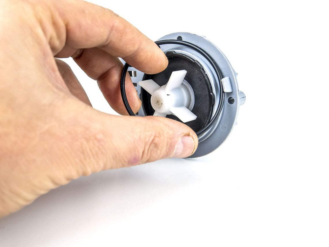 15 Steps to Replace Your Pool Pump Motor (Yourself) Globo Pool