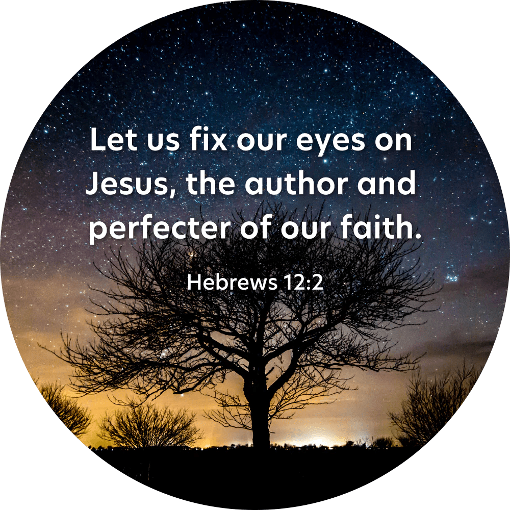 Disc Set 3 The Lord Jesus Disc 5 Hebrews 122 GloriLight