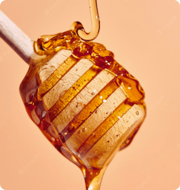 Buy Honey Online Raw & Organic Honey for Sale GloryBee