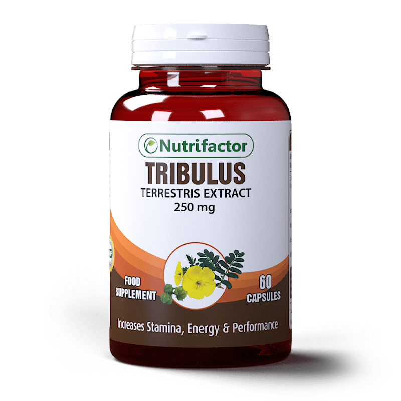 Tribulus Terrestris Capsule for Men Health