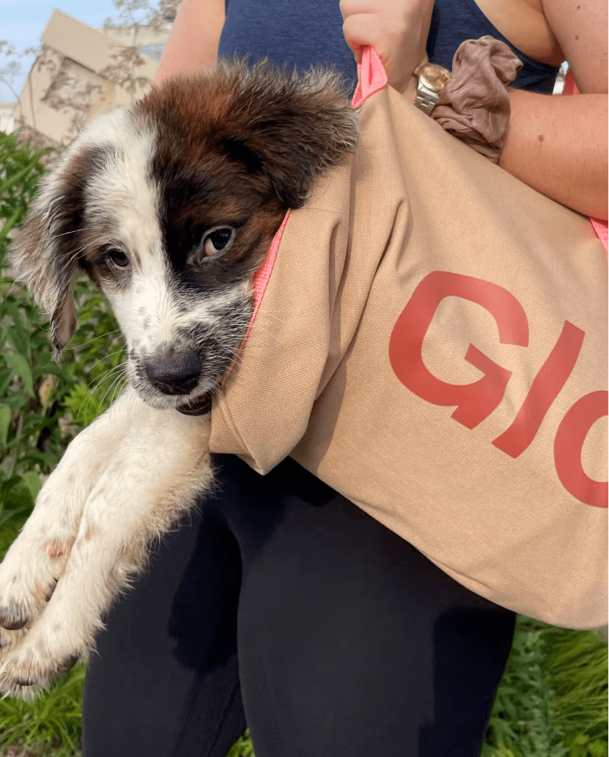 Glossier Duffel Bag Glossy