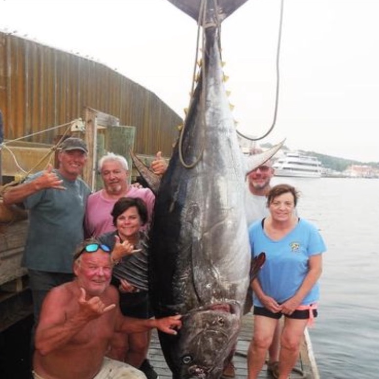 Best Gloucester Fishing Charters Giant Bluefin Tuna Fishing Charters