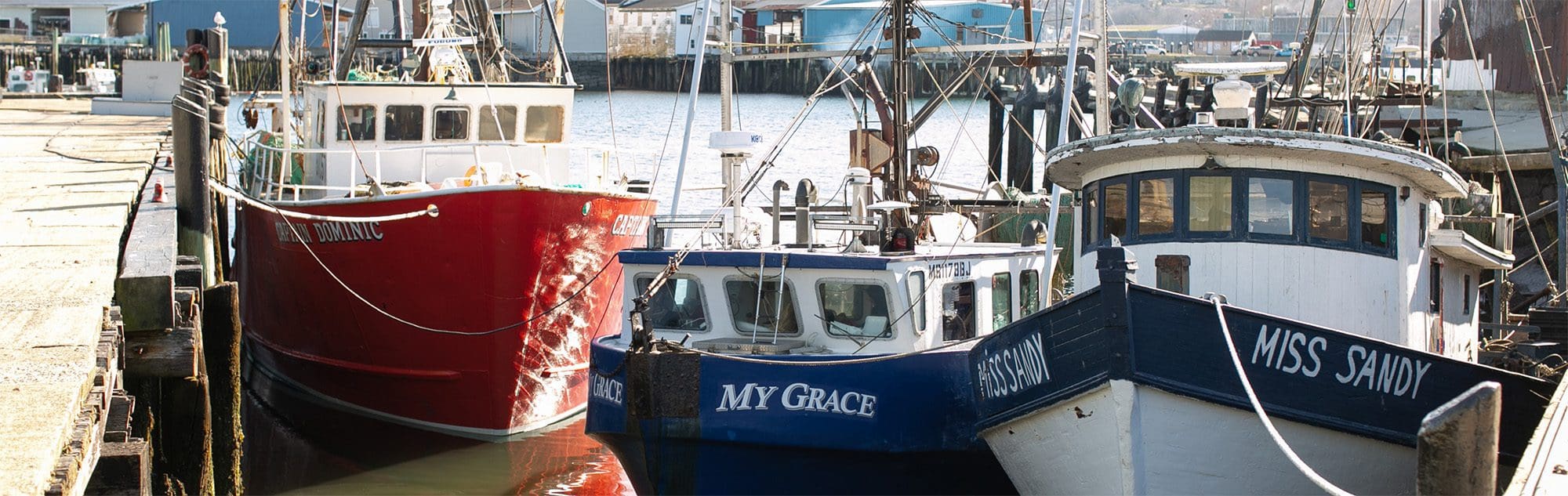 Contact Gloucester Fresh Seafood Local, Sustainable, Delicious Seafood