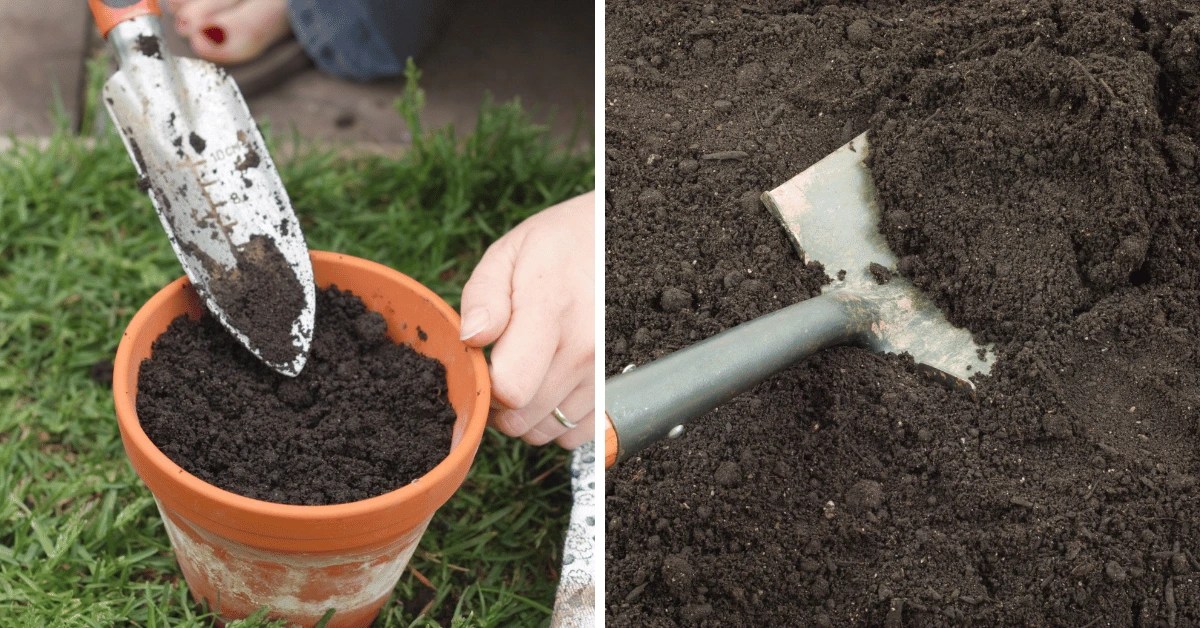 Can you Use Garden Soil in Pots? What if you Did?