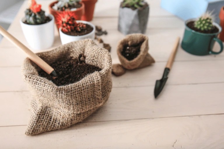 Can you Use Garden Soil in Pots? What if you Did?