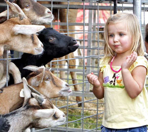 Glow The Event Store Petting Zoo & Wagon Rides Glow The Event Store