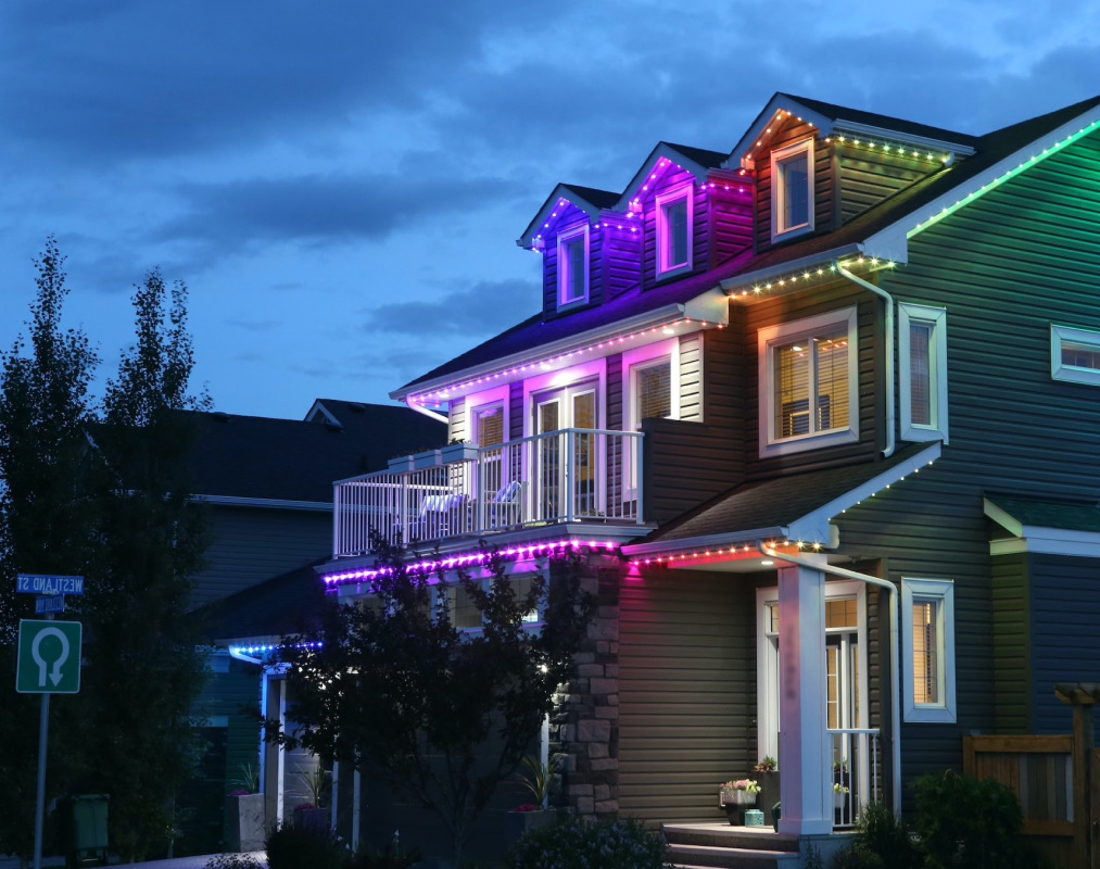 Programmable Outdoor Led Christmas Lights Shelly Lighting