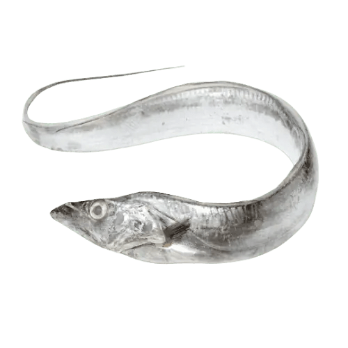 GLP Seafood INDONESIA’S BIGGEST FISHERY PRODUCT EXPORTER