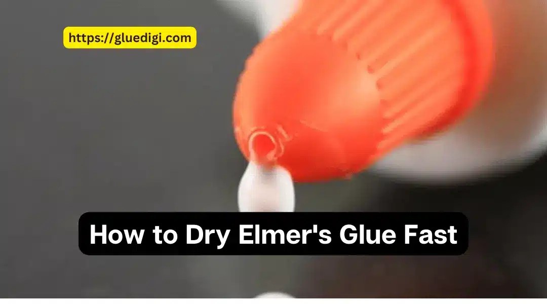 How Long Does Elmer’s Glue Take to Dry? Gluedigi