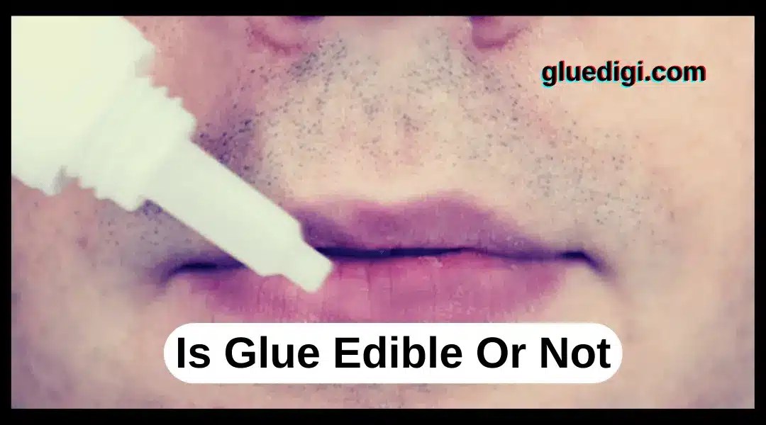 Is Glue Edible? See What Experts Say. Gluedigi