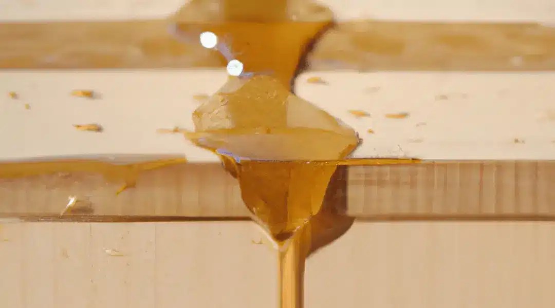 How Long Does Wood Glue Take To Dry? Complete Step By Step Guide Gluedigi