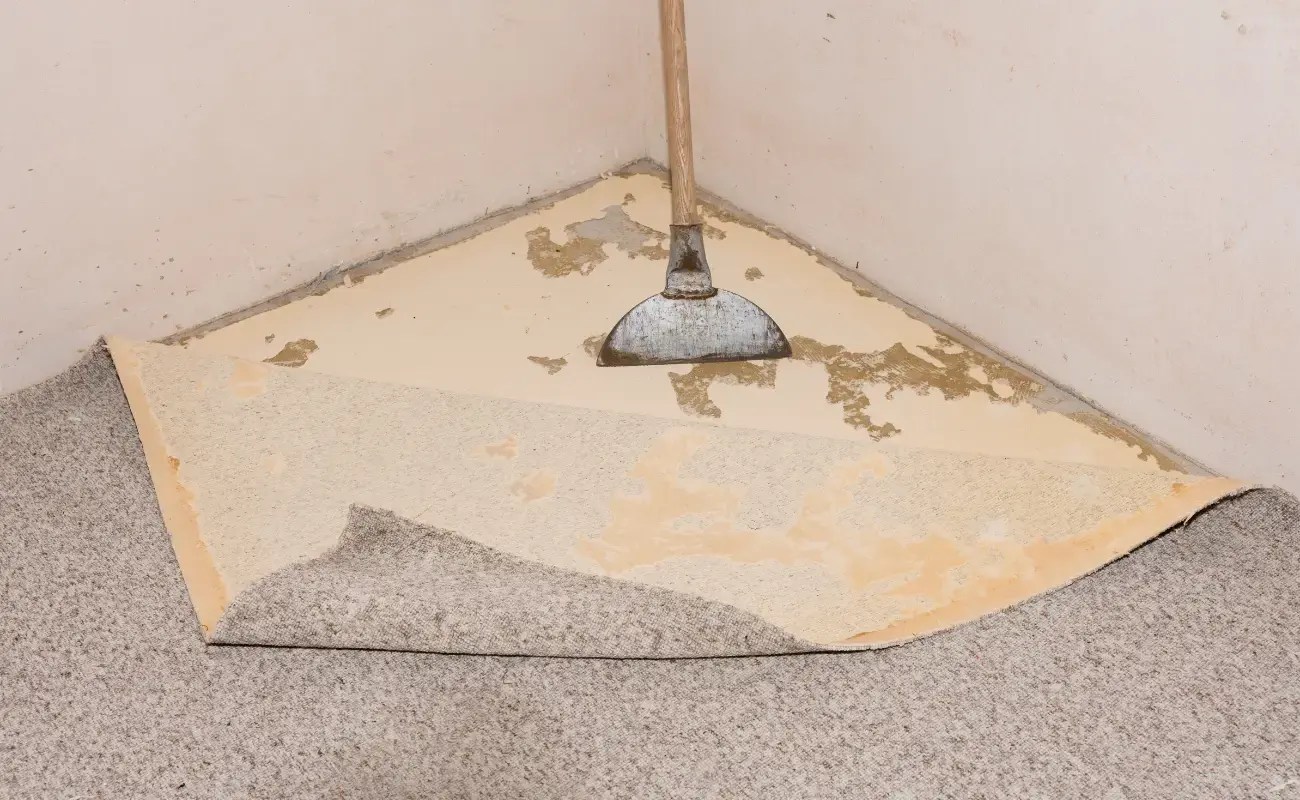 Carpet Adhesive Pros, Cons, Uses and Hacks
