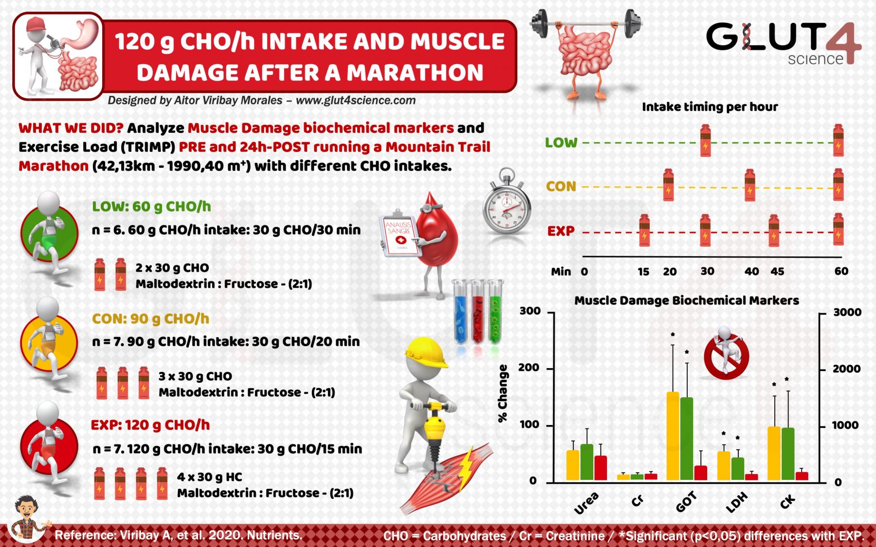 120 grams of Carbohydrates per hour During Exercise Improve Recovery