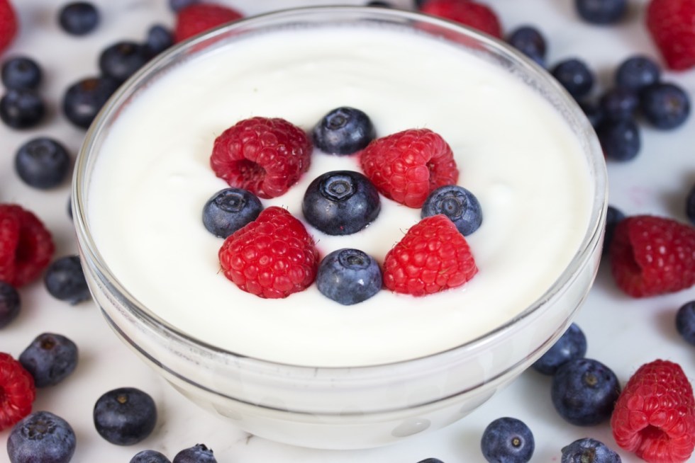 How To Make Delicious 24Hour Probiotic Yogurt Gluten Free Homestead
