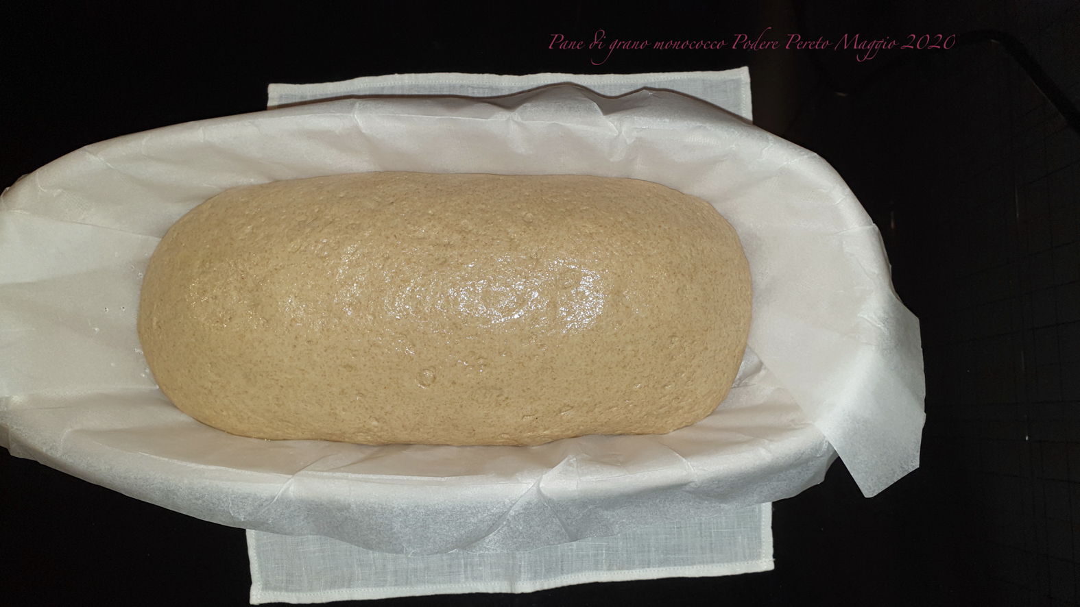 Pane di grano monococco (piccolo farro) 100 Nuovo test con metodica