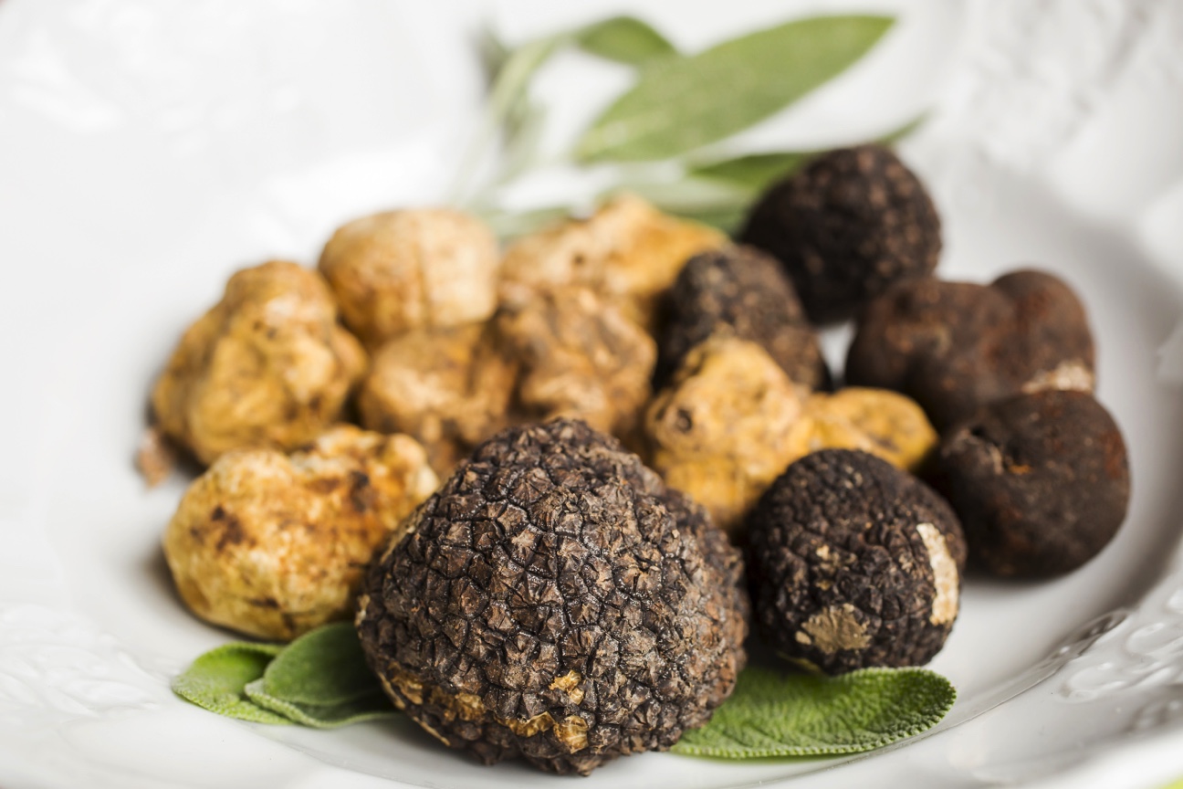 Truffles a necessity for anyone with expensive taste—literally