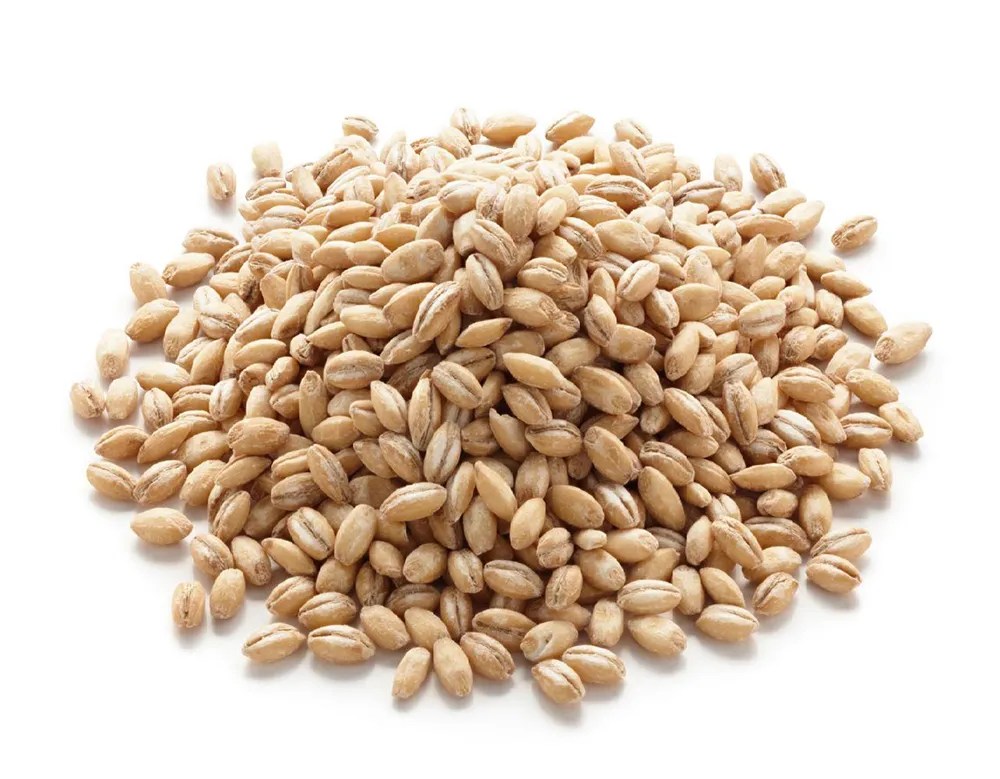 Pearl barley (steamed) Glycemic Index (GI), glycemic load (GL) and