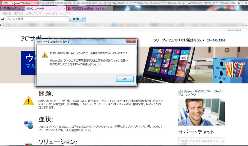 ウィルス駆除 Garagemastermoja