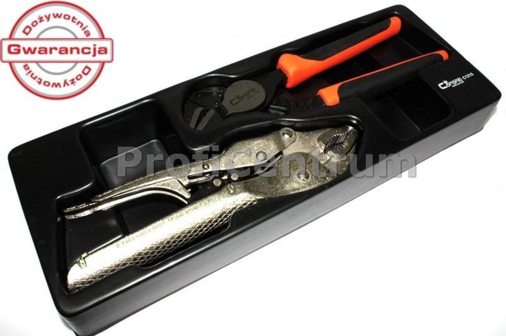 SelfLocking And Pipe Pliers Set 250mm Richmann/CORONA PLIERS PLIER SETS GM Tools Shop Online