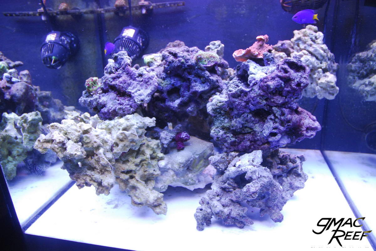 Live Rock Aquascaping Ideas