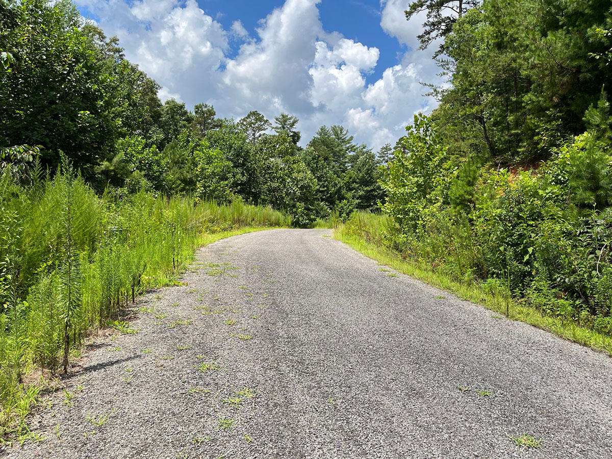 Mountain Properties Mountain Cabins LLC