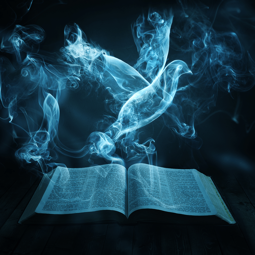 HolySpirit Green Meadows Church of God