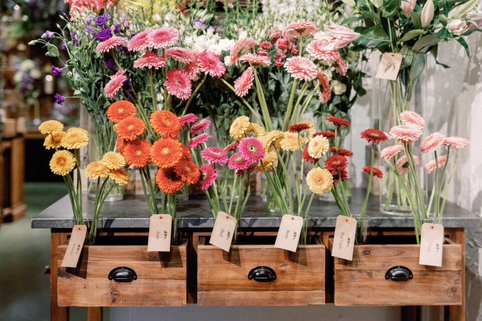Green Mountain Floral Supply, providing flowers and florist supplies to