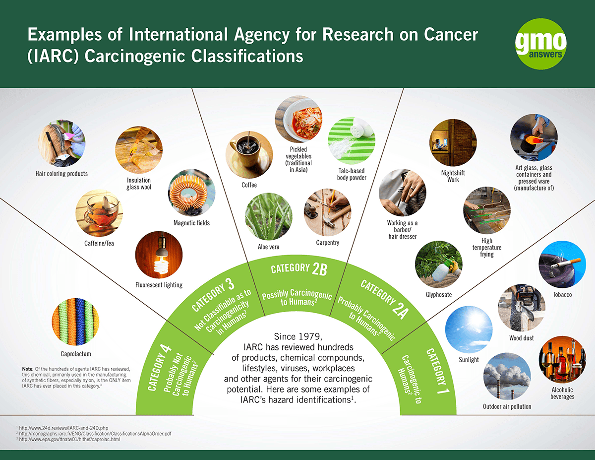 IARC Classification Carcinogen Examples [Infographic] GMO Answers