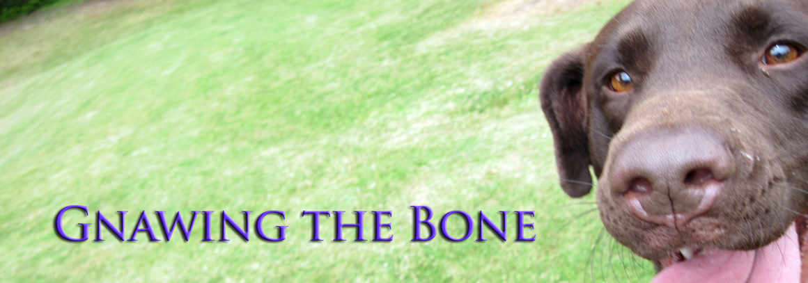 Gnawing the Bone Blog Update Gnawing the Bone