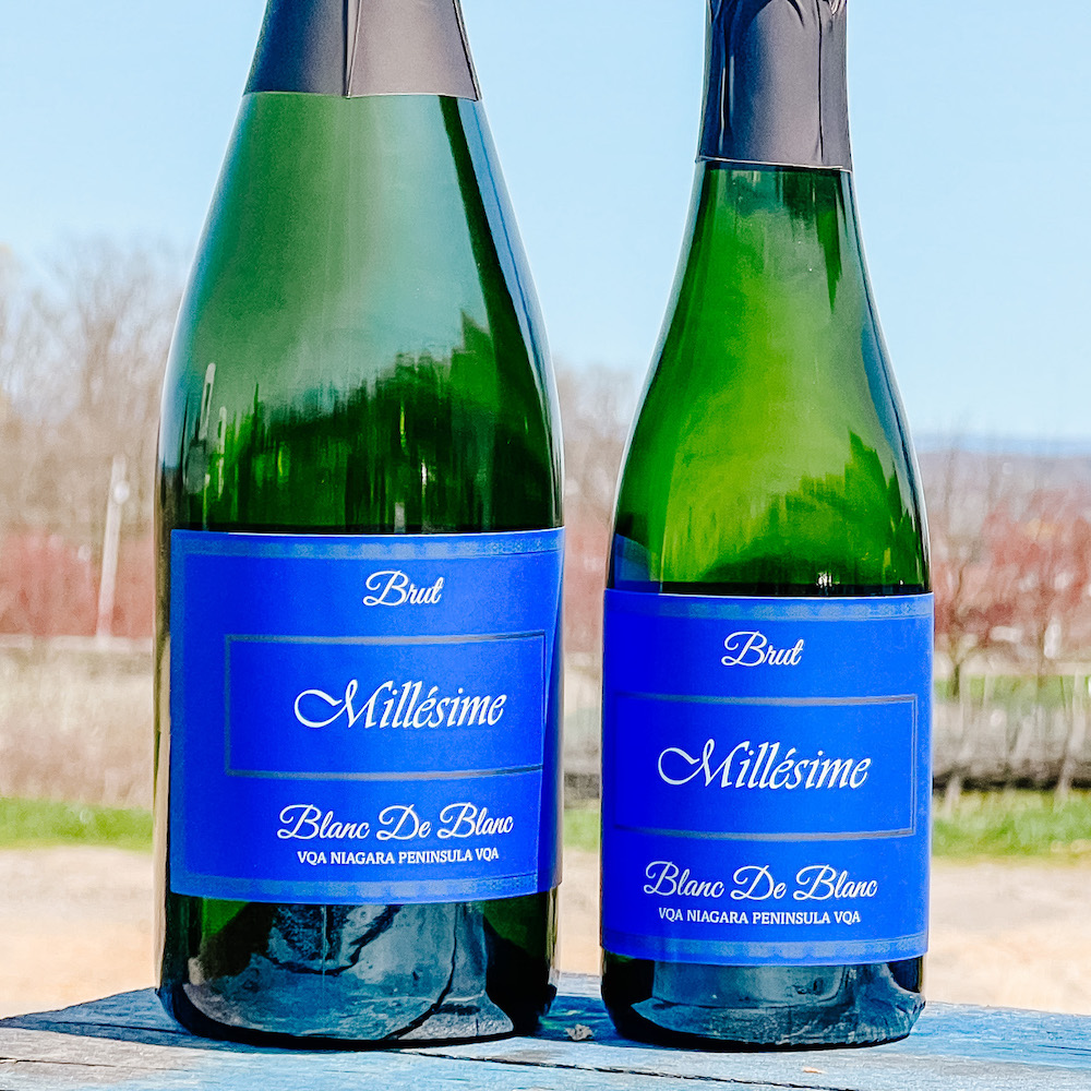 Daily Update December 8 Greater Niagara Chamber of Commerce