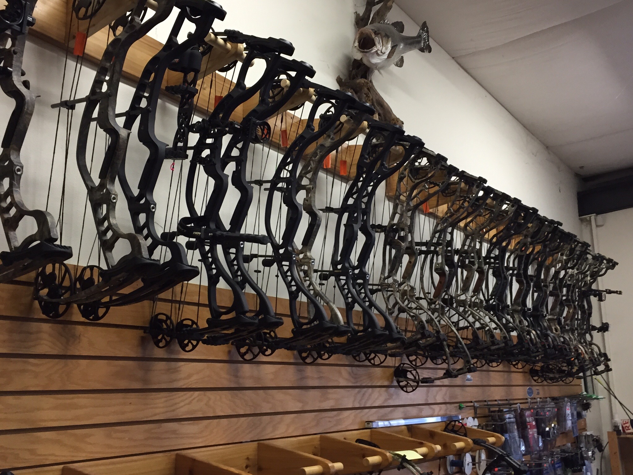 IMG_0010 Great Northwest Archery Puyallup WA