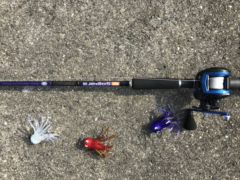 タコ釣りのタックルや仕掛けを紹介！初心者でも簡単で楽しいよ つりにいく