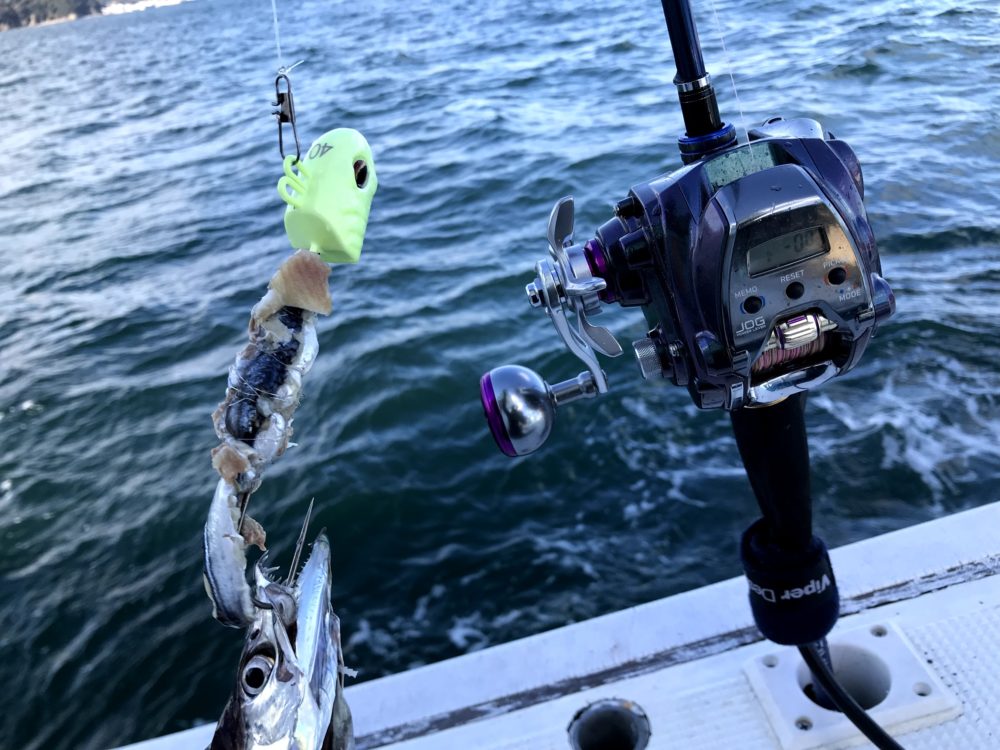 50+太刀魚 船 釣り 魚のすべて