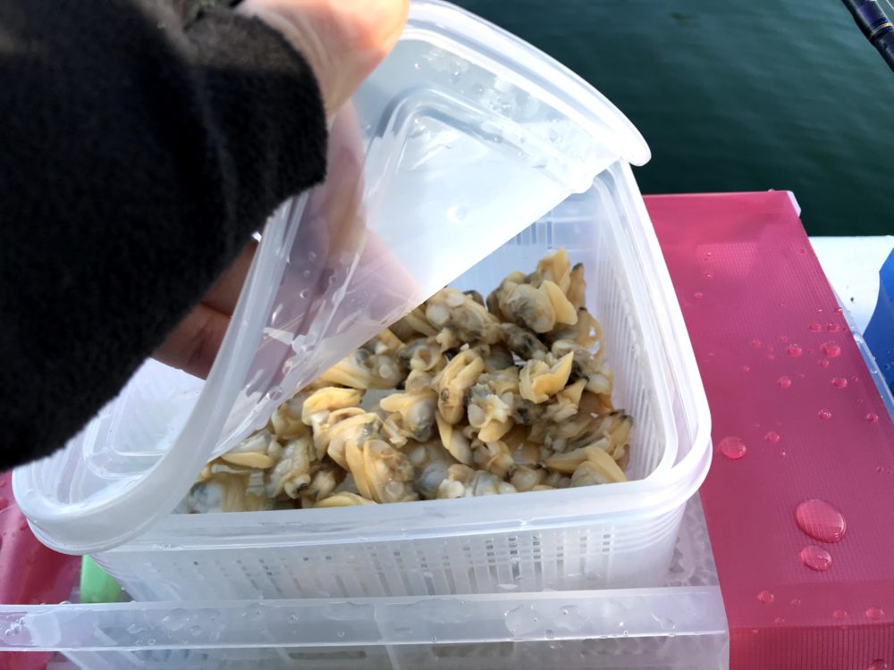 これまでで最高のアサリ 餌 すべての魚の画像
