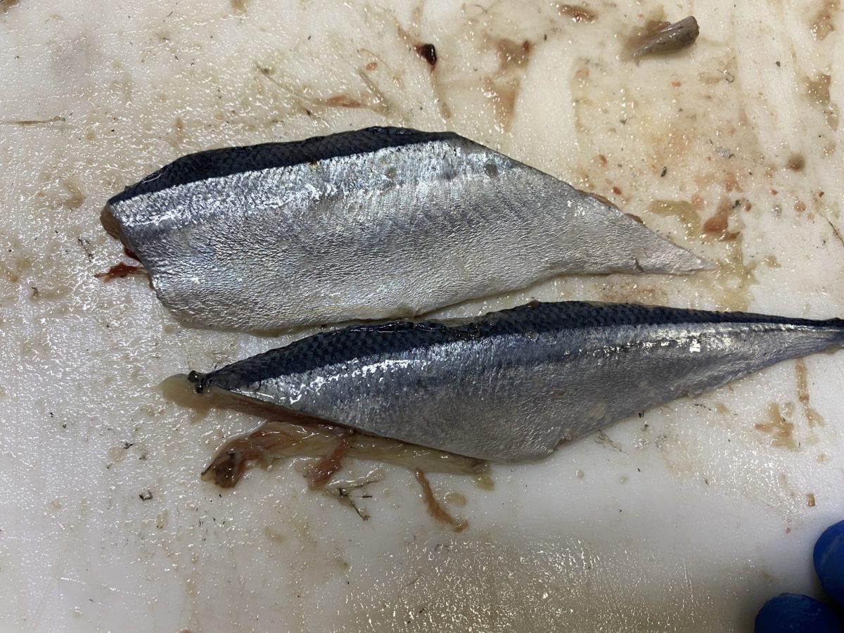 最高のコレクション サンマ 餌 作り方 294566太刀魚 サンマ 餌 作り方 Jozirasutoinem