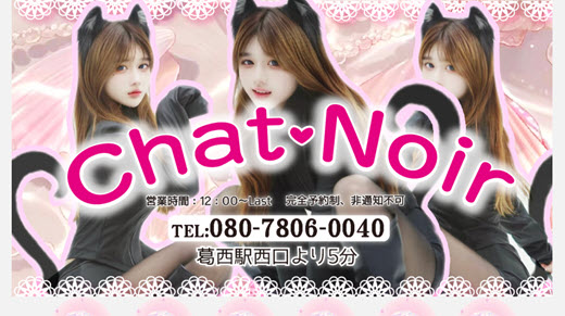 Chat Noir