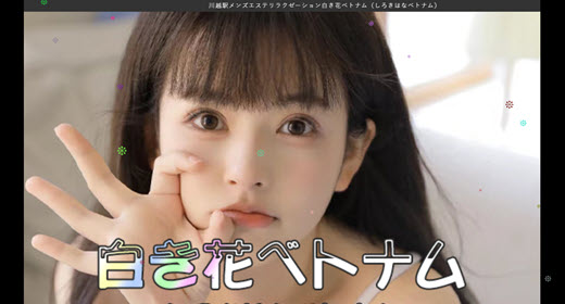 白き花ベトナム