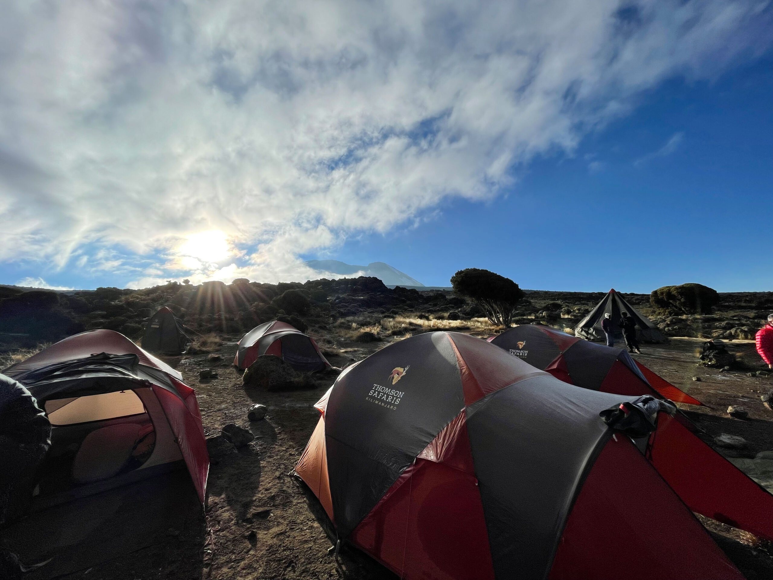Shira II Camp along the Lemosho Route on Mount Kilimanjaro.